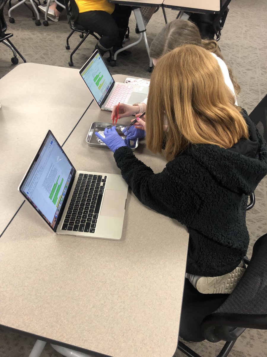 RussellSwanson1's tweet image. Last month, Block 1 preservice teachers dissected owl pellets and used the data to argue how the owl impacted its ecosystem. We used the data from the pellet as evidence to support our claim about the owl’s impact. #elementaryscience #ngss #phenomenonbasedlearning