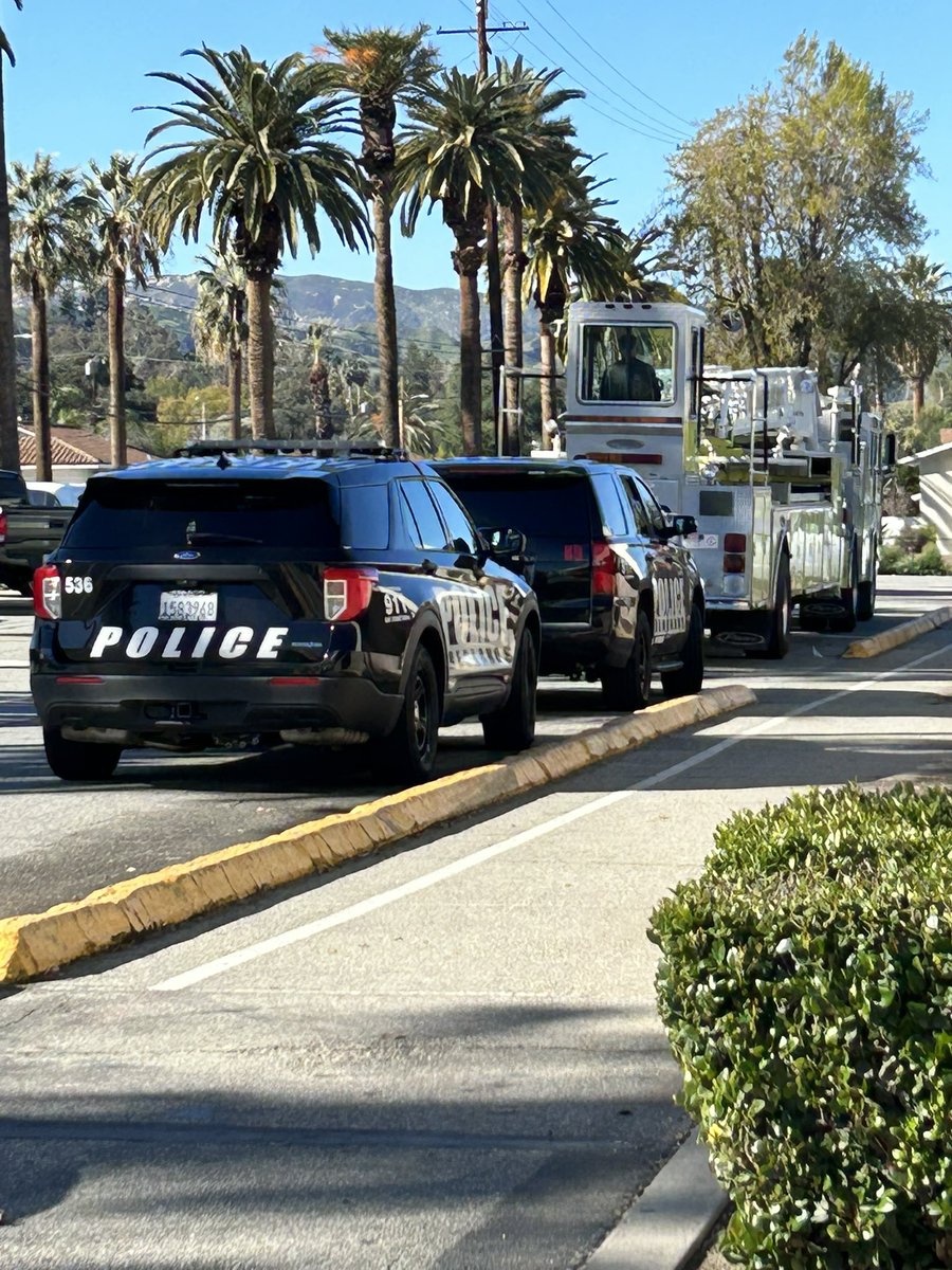 Stacey Caddel tweet media