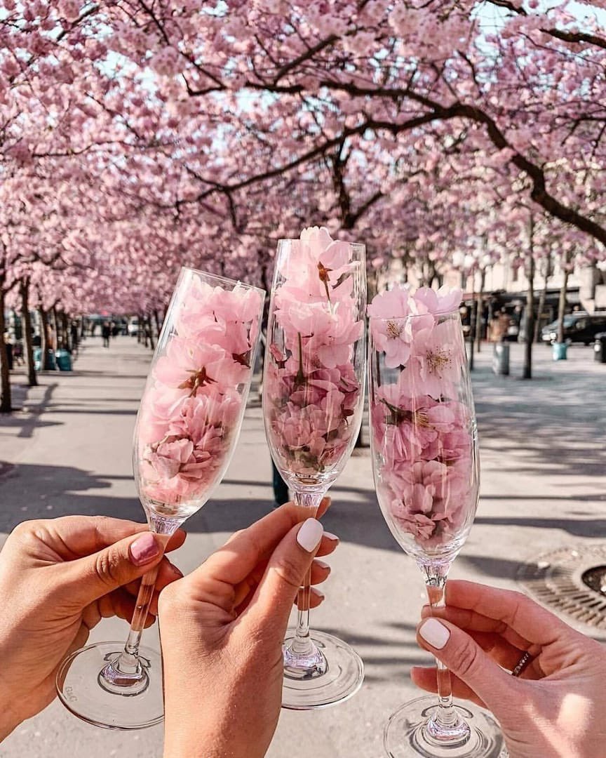 NToxiclatte's tweet photo. " Blossom by #blossom the #spring begins." — Algernon Charles Swinburne

#봄 ＃はる https://t.co/FXiDjYySZO