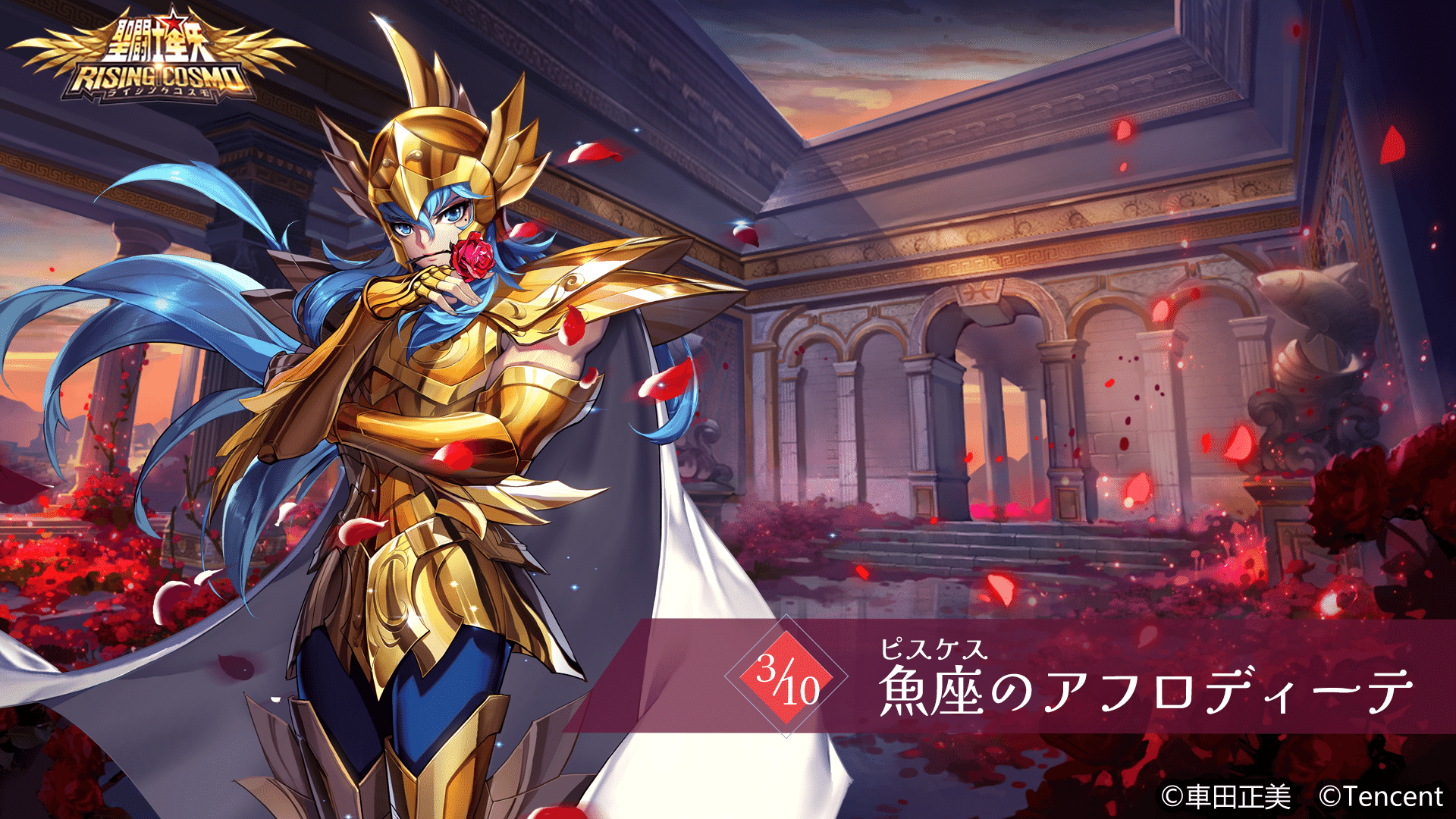 らべんだーはうす 魚座 アフロディーテ 黄金聖闘士 白薔薇 さん