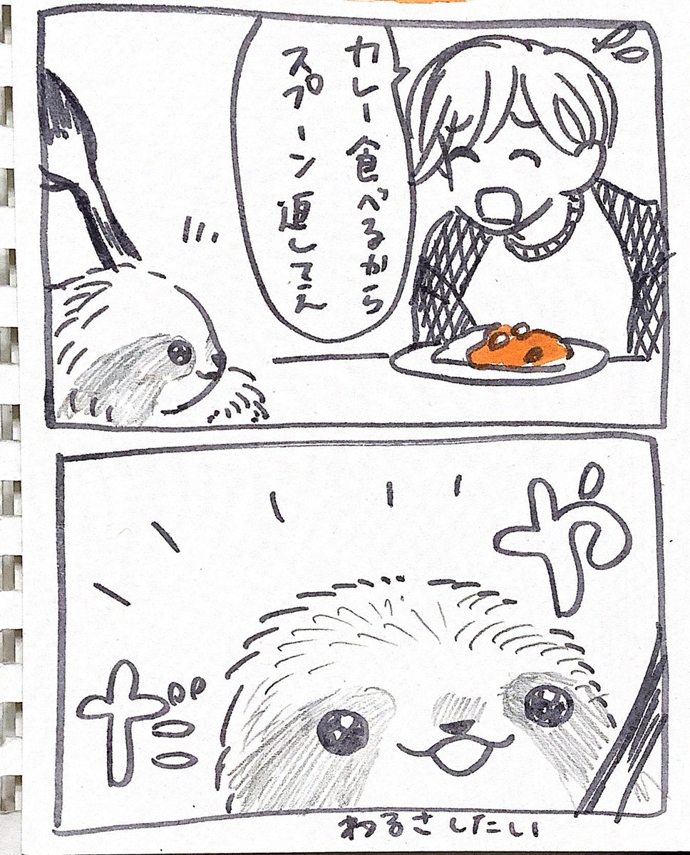 ナマケモノの赤ちゃん、人から略奪する(そして甘える) 