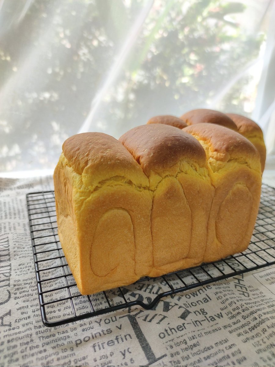 sassycatbakery's tweet image. Vegan Pumpkin Bread..ยังวนอยู่ใน ลปของขนมปัง Vegan #veganfood #veganbread #ชุมชนขนมปัง #ขนมปังวีเกน