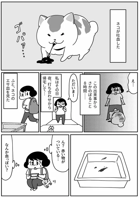 今週の『きょうも厄日です』は
第114回「猫が口から血を吐いた時の話」です。
よろしくおねがいいたします!!
#山本さほ #きょうも厄日です #文春オンライン 
https://t.co/MEPzh40sNG 