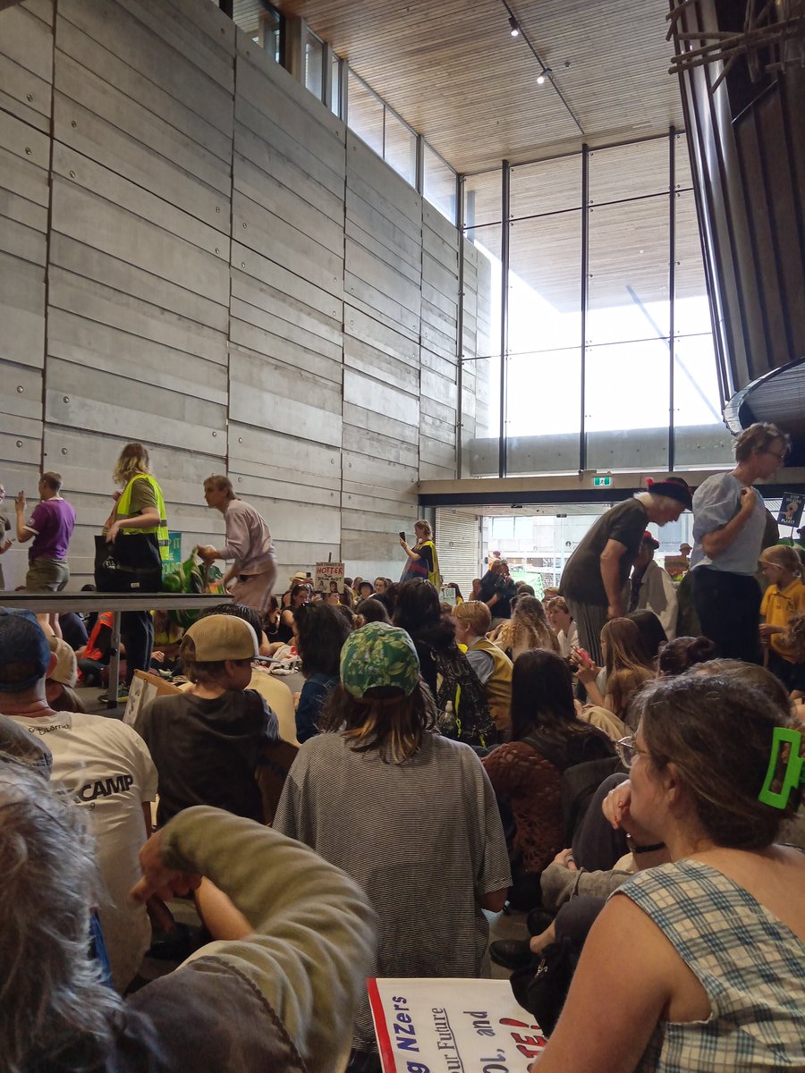 Currently: SS4C sit in at CCC demanding that the council adhere to climate goals and cancel Tarras ariport