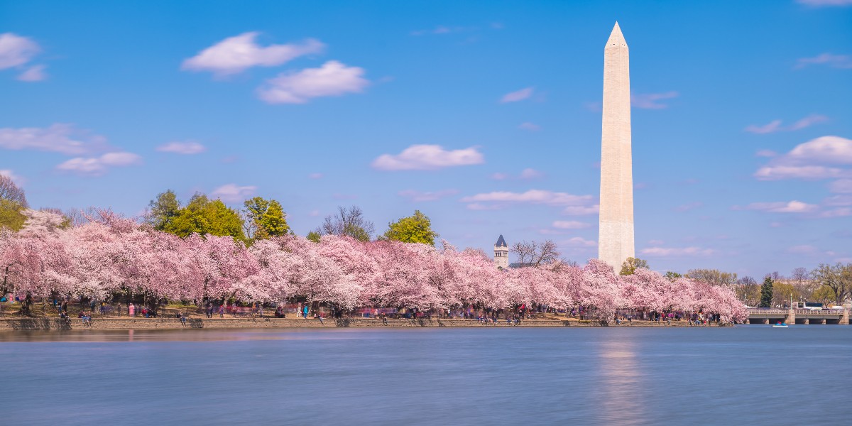 CherryBlossFest's tweet image. Blossom Alert! 🚨
We've been chosen as one of the 19 nominees for @USATODAY Best Cultural Festival, and we need your help! Support the Festival and vote for us (your favorite DC springtime Festival)! 🌸
Vote⤵️

fal.cn/3whjQ

#CherryBlossFest #10Best #USAToday