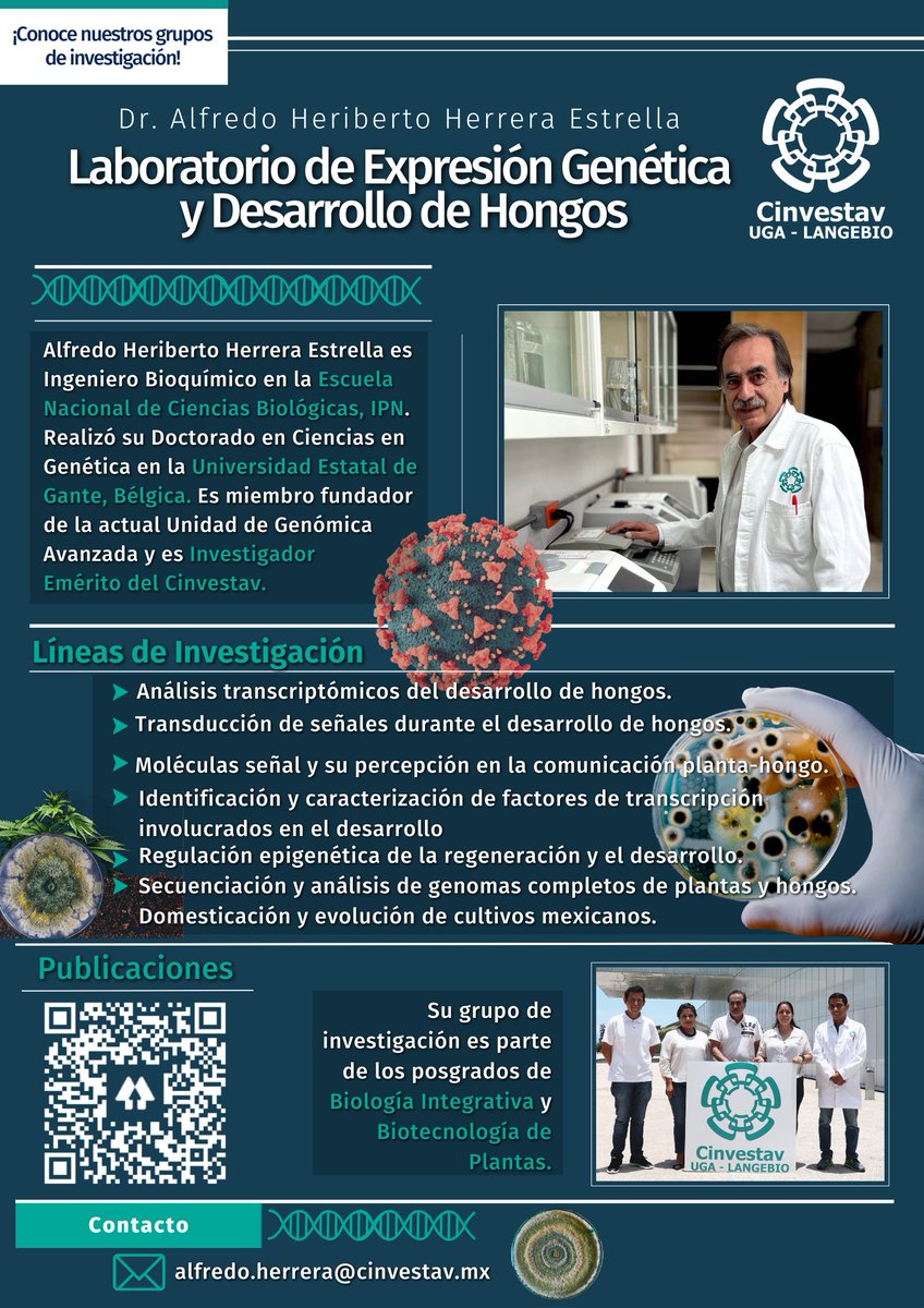 🟢Te presentamos al Dr. Alfredo H. Herrera Estrella, Profesor Investigador Emérito del 🧬Laboratorio de Expresión #Genética y Desarrollo de #Hongos en <a href="/uga_langebio/">Unidad de Genómica Avanzada del Cinvestav</a>.

🟢El grupo del Dr. Alfredo es parte de los #posgrados de <a href="/biotec_plantas/">Biotecnología de Plantas CINVESTAV</a> y de <a href="/BiolIntegrativa/">Biología Integrativa Cinvestav</a>.