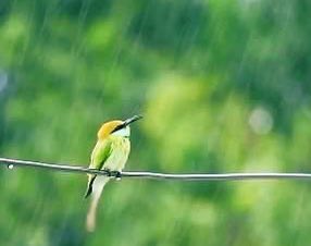 8a__m's tweet image. اللهم أجعلني لنفسي خير دليل :♥️:•
#الوتر
#نقطه 
💔💔