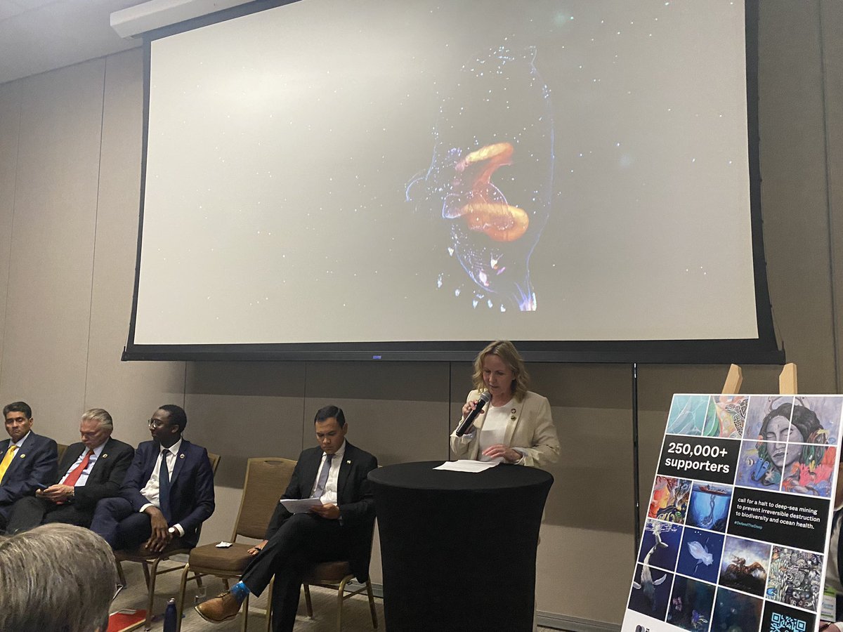 .<a href="/SteffiLemke/">SteffiLemke</a>, Minister of Environment for Germany calls on States to join them in the call for a precautionary pause on #DeepSeaMining and says DSM threatens to place an additional burden on marine ecosystems that are already under pressure. #DefendTheDeep #OurOceanPanama