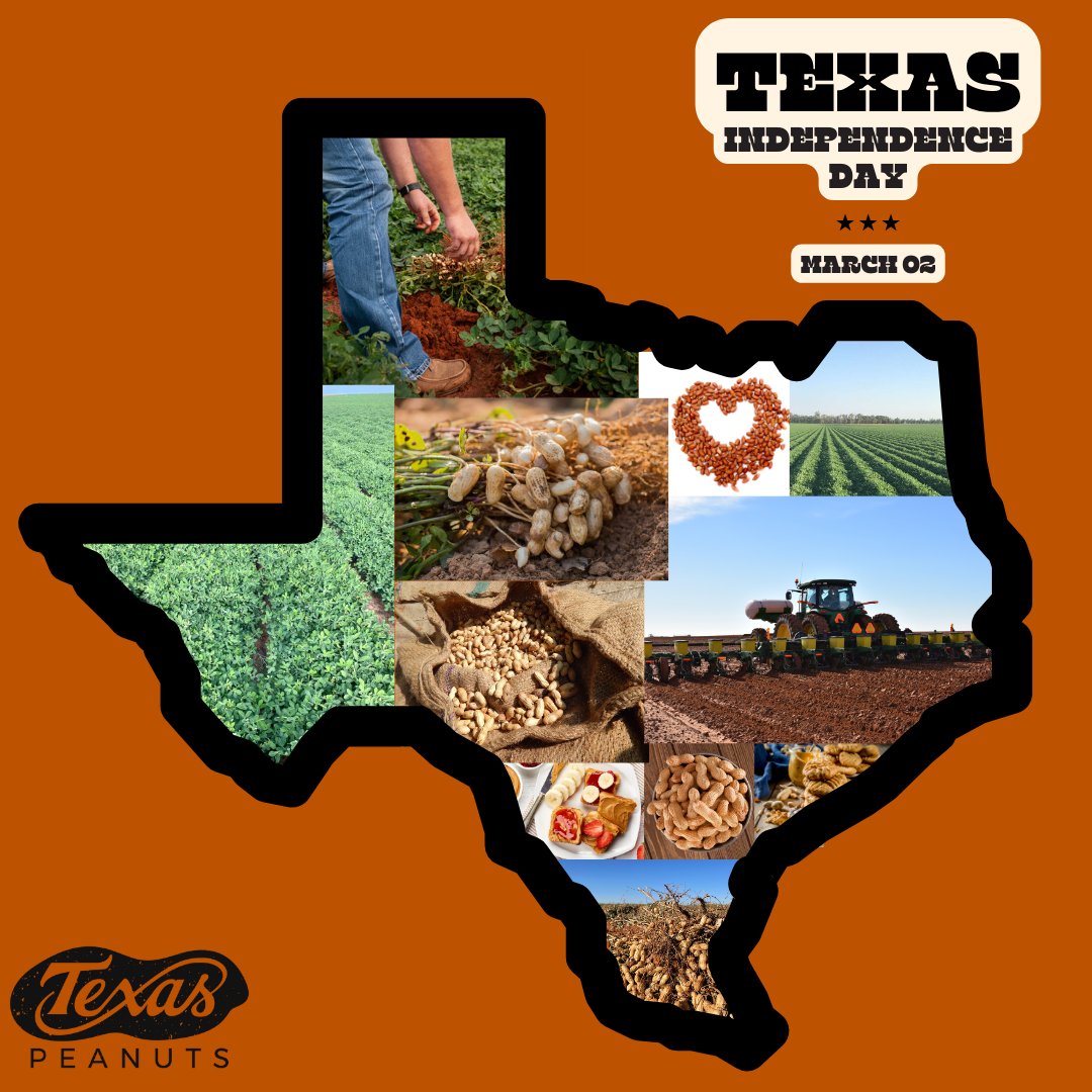 Happy Texas Independence Day to all the proud Texans out there. 
•
•
•
#TexasIndependenceDay #TexasPeanutProducersBoard #TexasPeanuts