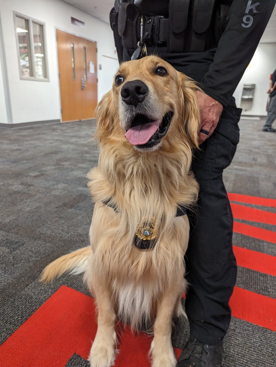 Loeschzone's tweet photo. Look who popped into @SouthFMHS this morning, #xander the "bestest boy" member of @SheriffLeeFL . #whoseagoodboy #keepingussafe https://t.co/lsy8OVpSrz