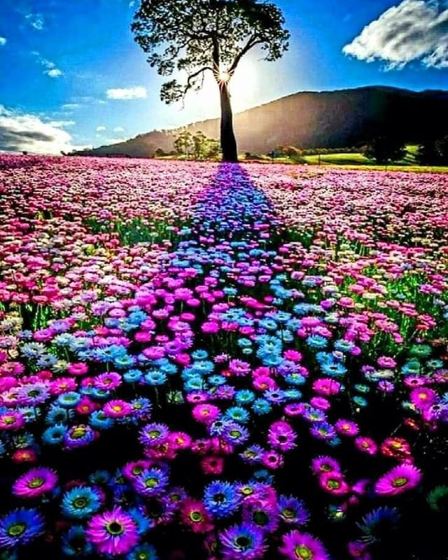 torarelaxtime's tweet photo. Happy Friday to you too!

#HappyFriday 
#NatureBeauty 
#SpringSeason https://t.co/Ucn759dl2b
