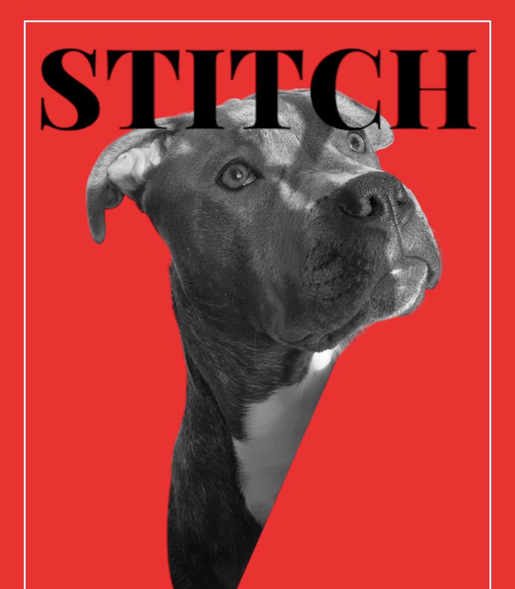 Bofrederiquee's tweet photo. My best friend ❤️ https://t.co/UG5kmx5yeD