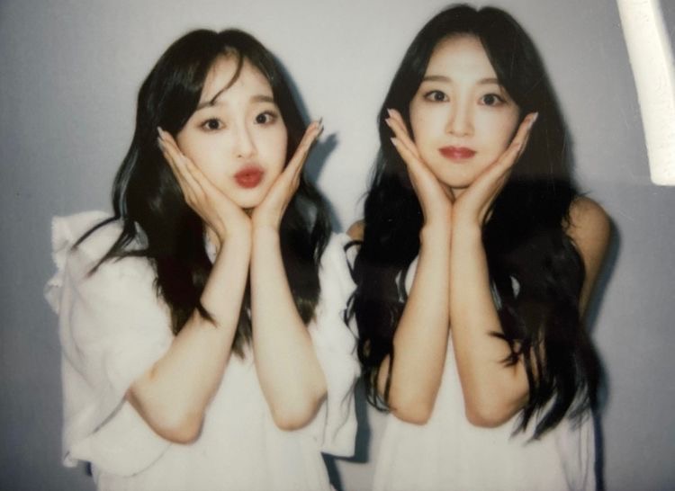 for yves tweet media