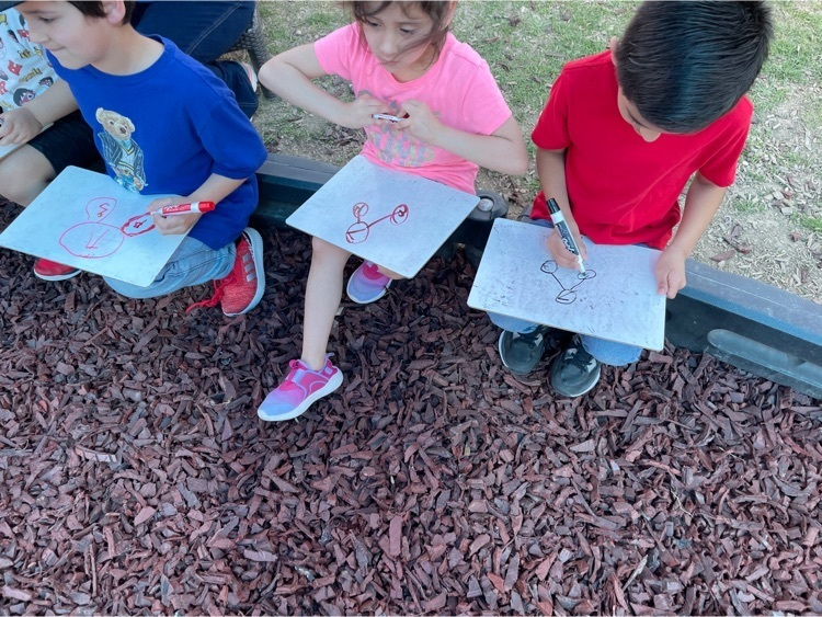 swisd_swe's tweet photo. Mrs. Ortega’s kindergarten class took their math lesson outdoors today learning about missing addends and number bonds ♥️ #RootEdSWE https://t.co/IygKVMMO9q