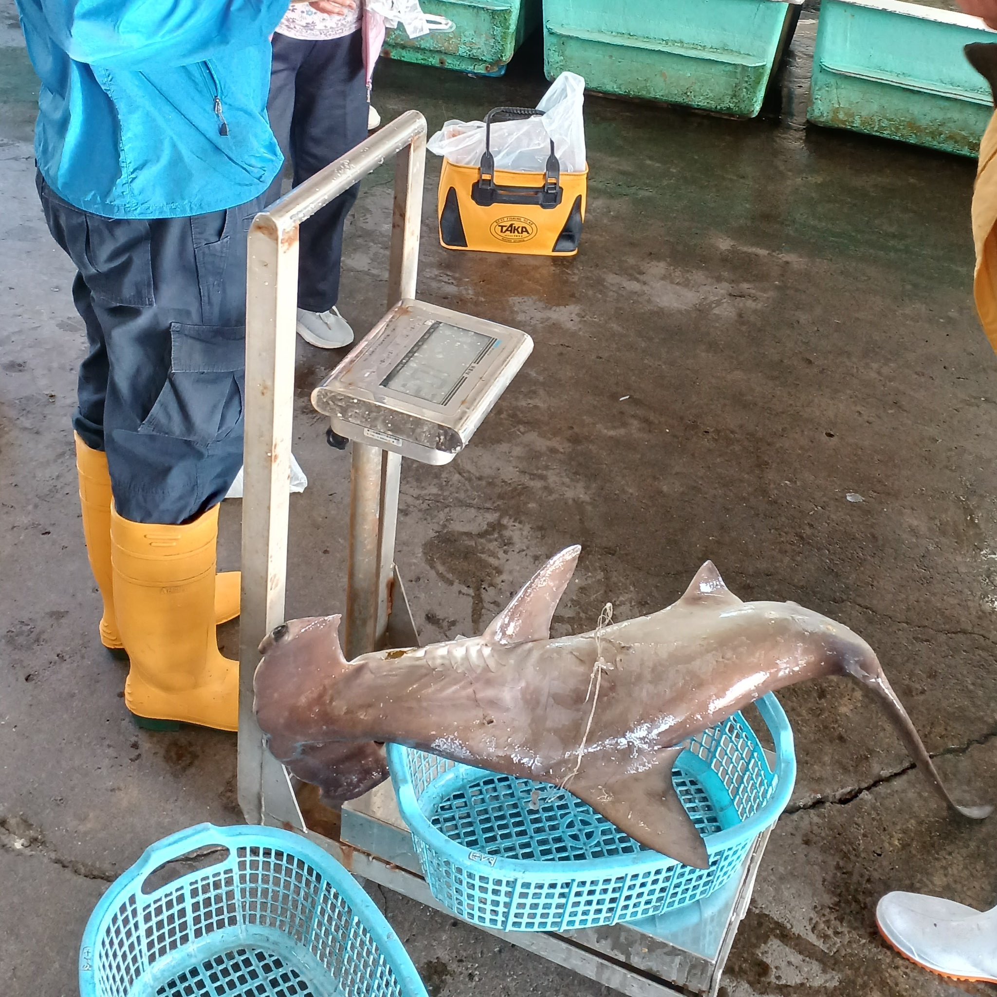 むろと廃校水族館 on X: 