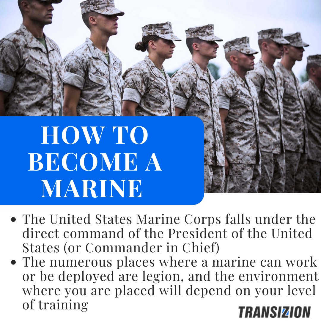 Transizion tweet media