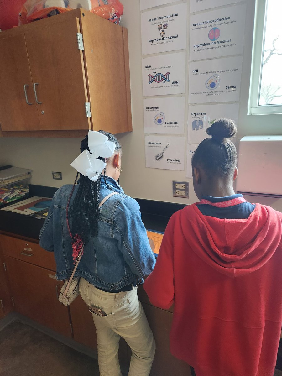 villa_sci's tweet image. My students loved this gallery walk for motion graphs. They were collaborating, and competing in little groups to see who got them right first 🤗📊😊

 #HoustonScience #SamSide #MotionGraphs #Speed #Displacement