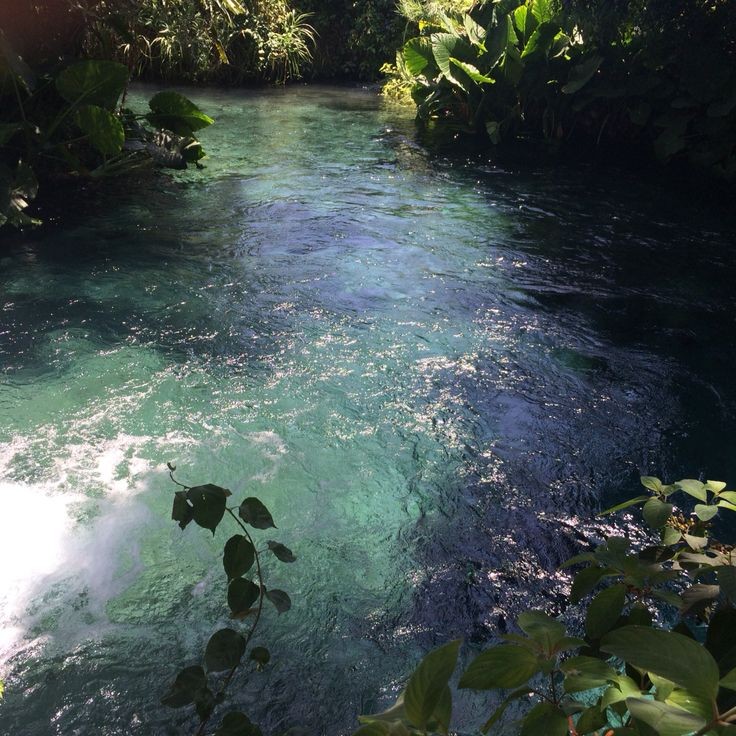 RiverChanting's tweet photo. ⠀⠀⠀⠀⠀⠀⠀⠀⠀
⠀⠀⠀⠀⠀⠀⠀⠀⠀𖦹
⠀⠀⠀⠀⠀⠀⠀⠀⠀
𝐒𝐰𝐞𝐞𝐭 𝐰𝐚𝐭𝐞𝐫 𝐧𝐲𝐦𝐩𝐡
⠀⠀⠀𝐏𝐫𝐨𝐭𝐞𝐜𝐭𝐨𝐫 𝐨𝐟 𝐭𝐡𝐞 𝐫𝐢𝐯𝐞𝐫𝐬 
⠀⠀⠀⠀⠀⠀⠀𝐆𝐮𝐢𝐝𝐞 𝐢𝐧 𝐭𝐡𝐞 𝐟𝐨𝐫𝐞𝐬𝐭
⠀⠀⠀⠀⠀⠀⠀⠀⠀ https://t.co/AcsDgxbrkB