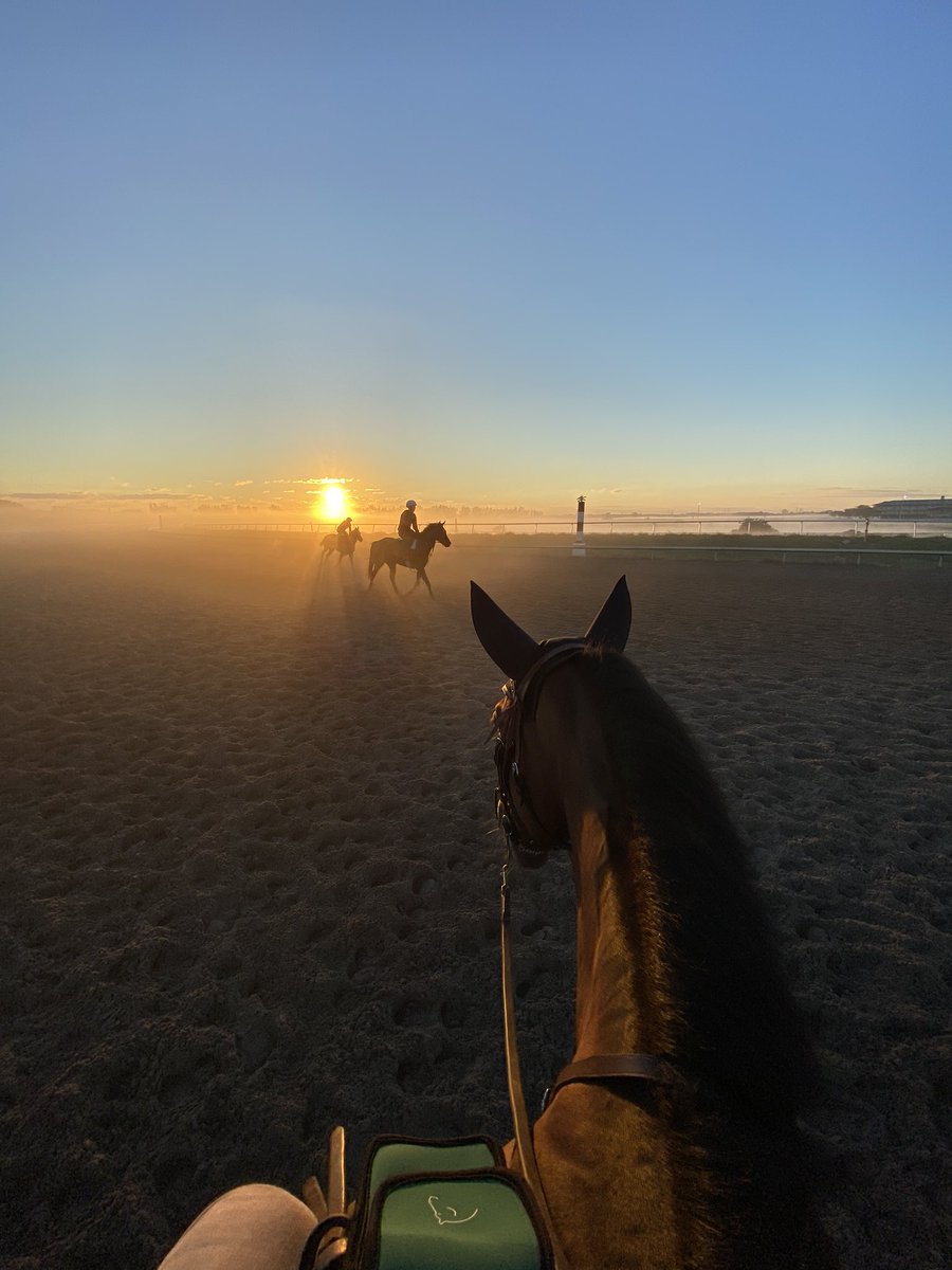Georgedmprince's tweet photo. Couldn’t resist a sunrise 📸 this morning! https://t.co/NPJKhcPR7s