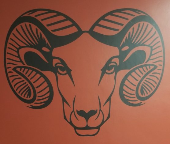 melvinmthompson's tweet photo. Ram Nation!!! #RYSSWCC https://t.co/GBTBiHyJwT