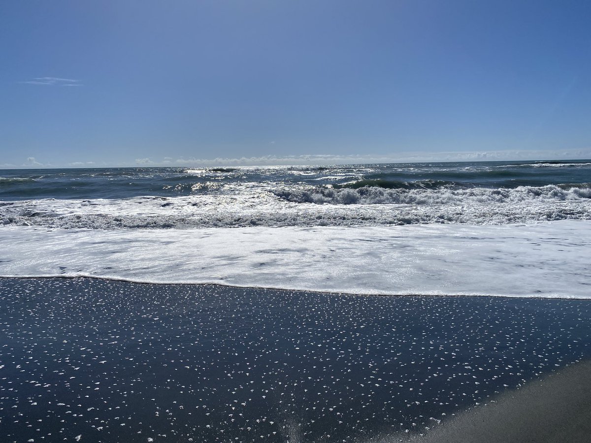 Love walking along the beach at Hokitika . #worklife #wellbeing