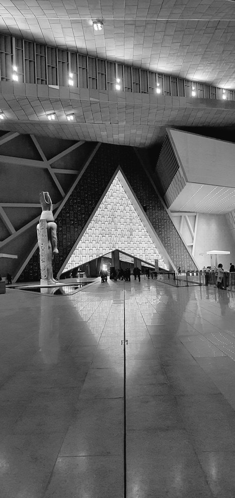 Nigel J.Hetherington tweet media