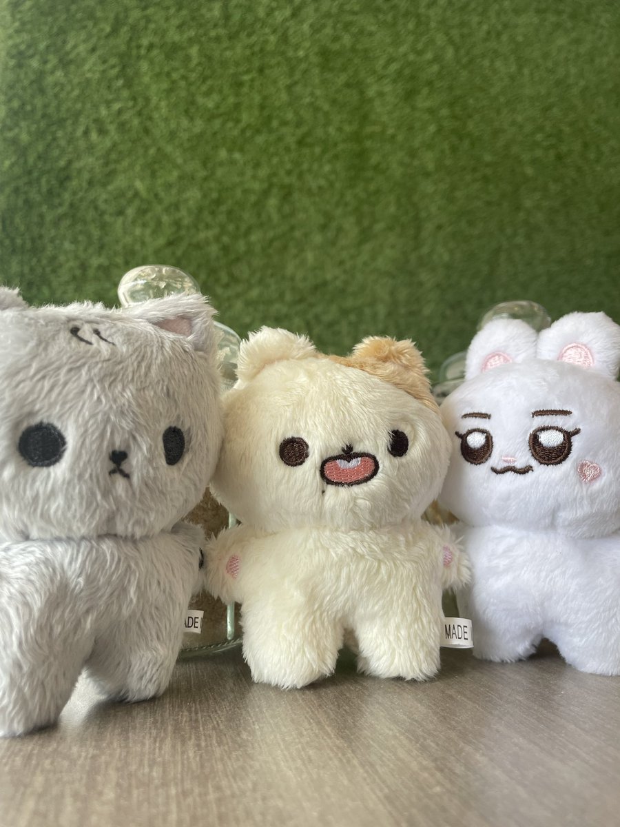 💌 jiji &amp; enju mail ! 🐹🦊

super duper late but i’m so happy they finally met eo 🥺 tysm <a href="/jwiscart/">val 🌟</a> for sending my kongzzi and kongjjun home safely !! here they are enjoying themselves at session road in bloom yesterday 🤍

 #fromjwi ₍ᵔ. ̫.ᵔ₎