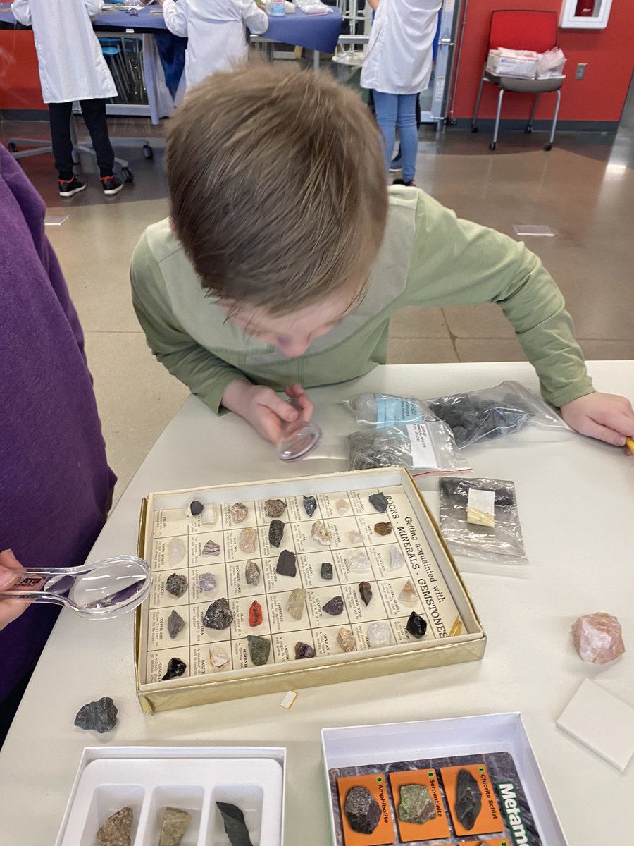 sj_beam's tweet image. End of fossil unit fossil dig.responsible mining.shape dinos.rock exploration.#thirdgradescience @WCS_Lincoln @WCS_District