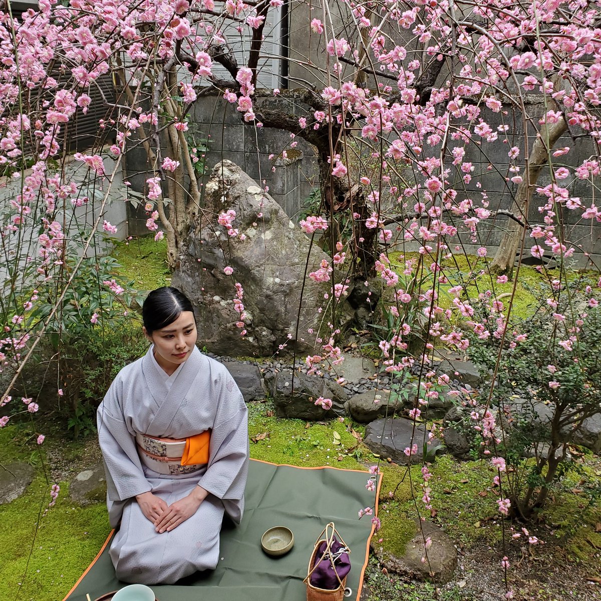 camelliakyoto's tweet photo. 🥳🎉Happy Hina Matsuri!🎎🍡

Until the Gregorian calendar was adopted, the festival was commonly known as the 'Peach Festival' (桃の節句 'Momo-no-Sekku') as these blossoms appeared at this time.

We'll have to make do with ume today😜
#雛祭り #hinamatsuri #Kyoto #京都 #Japan https://t.co/2B5mdzkiYE
