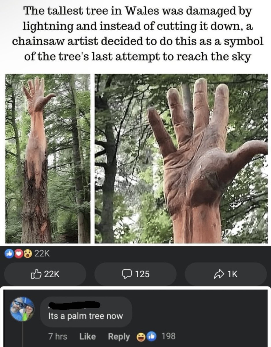 InternetH0F's tweet image. 