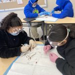 Photo by BSTEM 6th Grade (@BSTEM6thGrade)