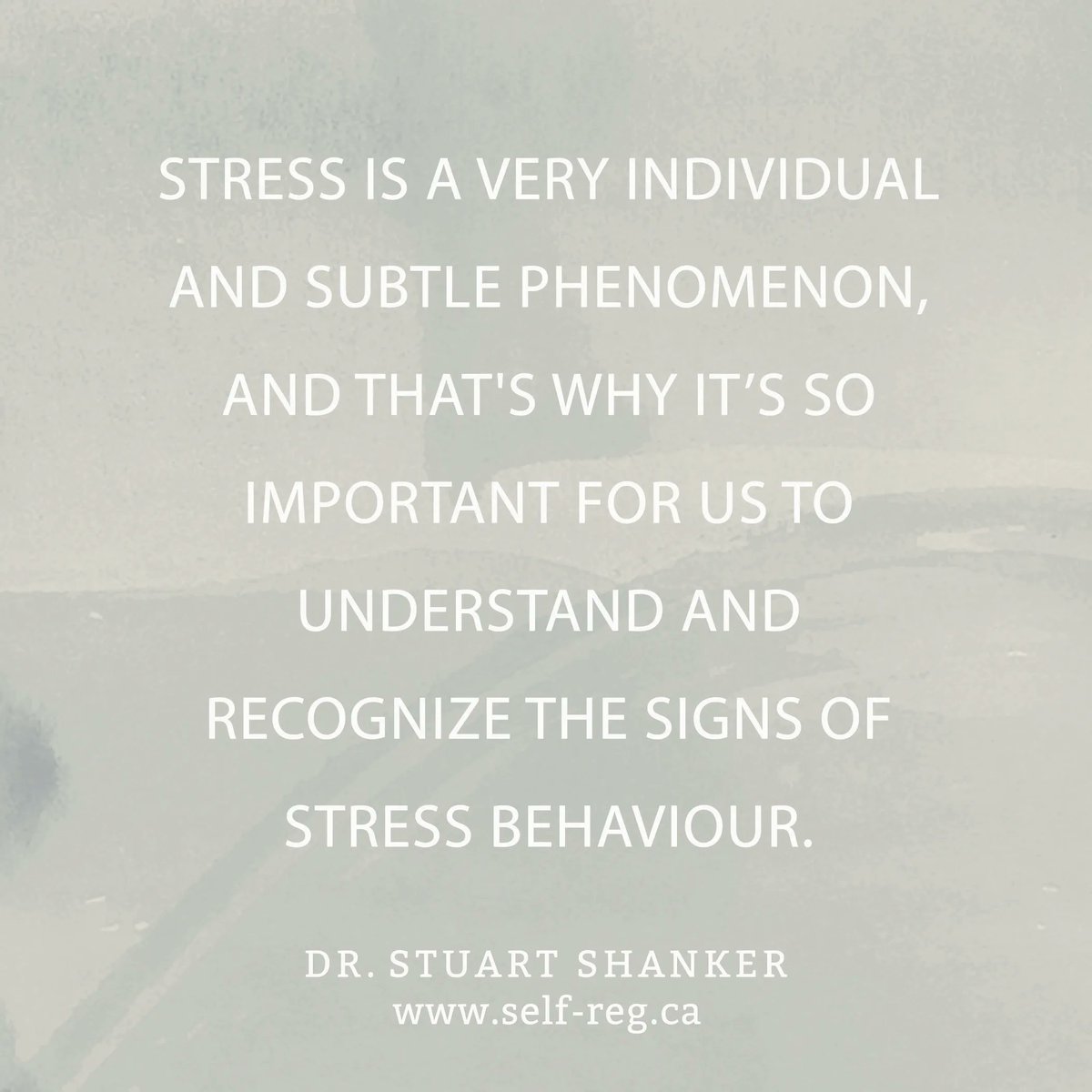 Self_Reg's tweet photo. "Stress is a very individual and subtle phenomenon, and that's why it's so important for us to understand and recognize the signs of stress behaviour." ~ Stuart Shanker
https://t.co/GGjAraB4We
#ShankerWisdom #SelfReg #StressBehaviour https://t.co/yzHtKfqOYJ