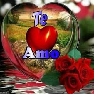 raton89459099's tweet photo. @zaidtef https://t.co/reMIOEhFT8