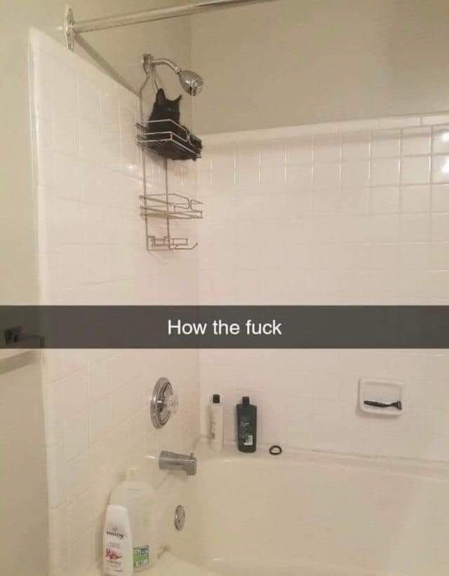 Virality Clips (@viralityclips) on Twitter photo 