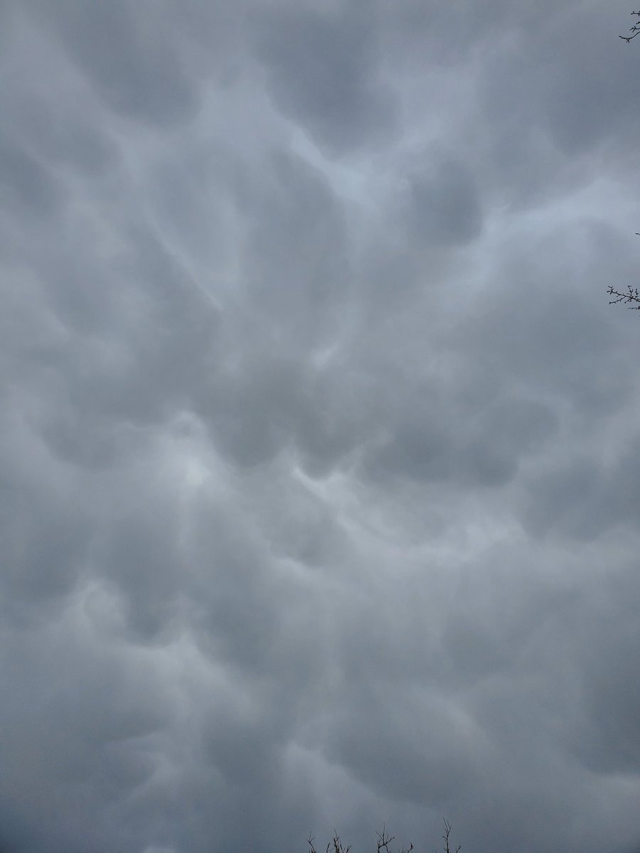 chriscabe3's tweet photo. Mammatus Clouds over #greshamOR #orwx @NWSPortland @JoshCozartWx @KelleyKOIN @NatashaKOIN6 #mammatusclouds https://t.co/46GLSVhe8p