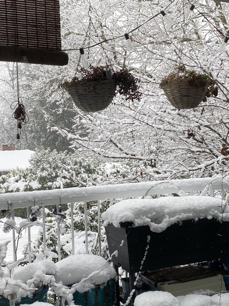 JoshGraphix's tweet image. Eh bangun-bangun dunia sudah beku gini #winteriscoming #hidupdikanada #saljuan #haribersalju #perantauanlife