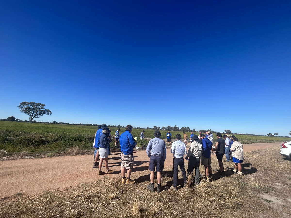 Grower meetings across the Riverina this week discussing best practice and making the drainage decision.
A project supported by MLLS, through funding from the Australian Governments National Landcare Program. 
<a href="/Murray_LLS/">MurrayLLS</a>
<a href="/RiceExtension/">Rice Extension</a>
<a href="/ricegrowers/">RGA</a>