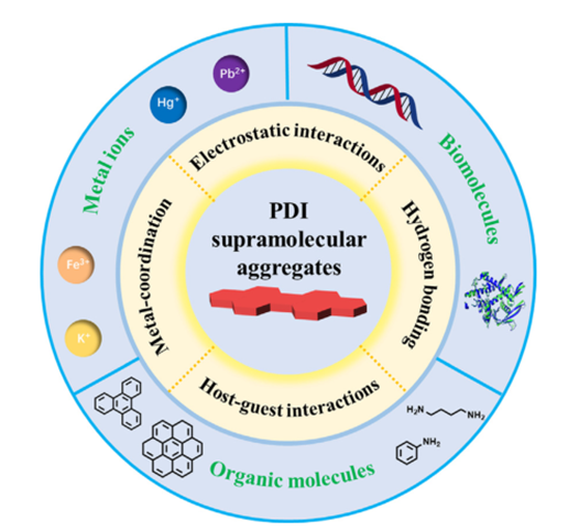 Supramol_Mater's tweet image. Recent progress in the design strategies and sensing applications of the perylene diimide supramolecular aggregates.
@ZhaoChai1 @KeAiPublishing
 #material #assembly #supramolecule #sensor
doi.org/10.1016/j.supm…