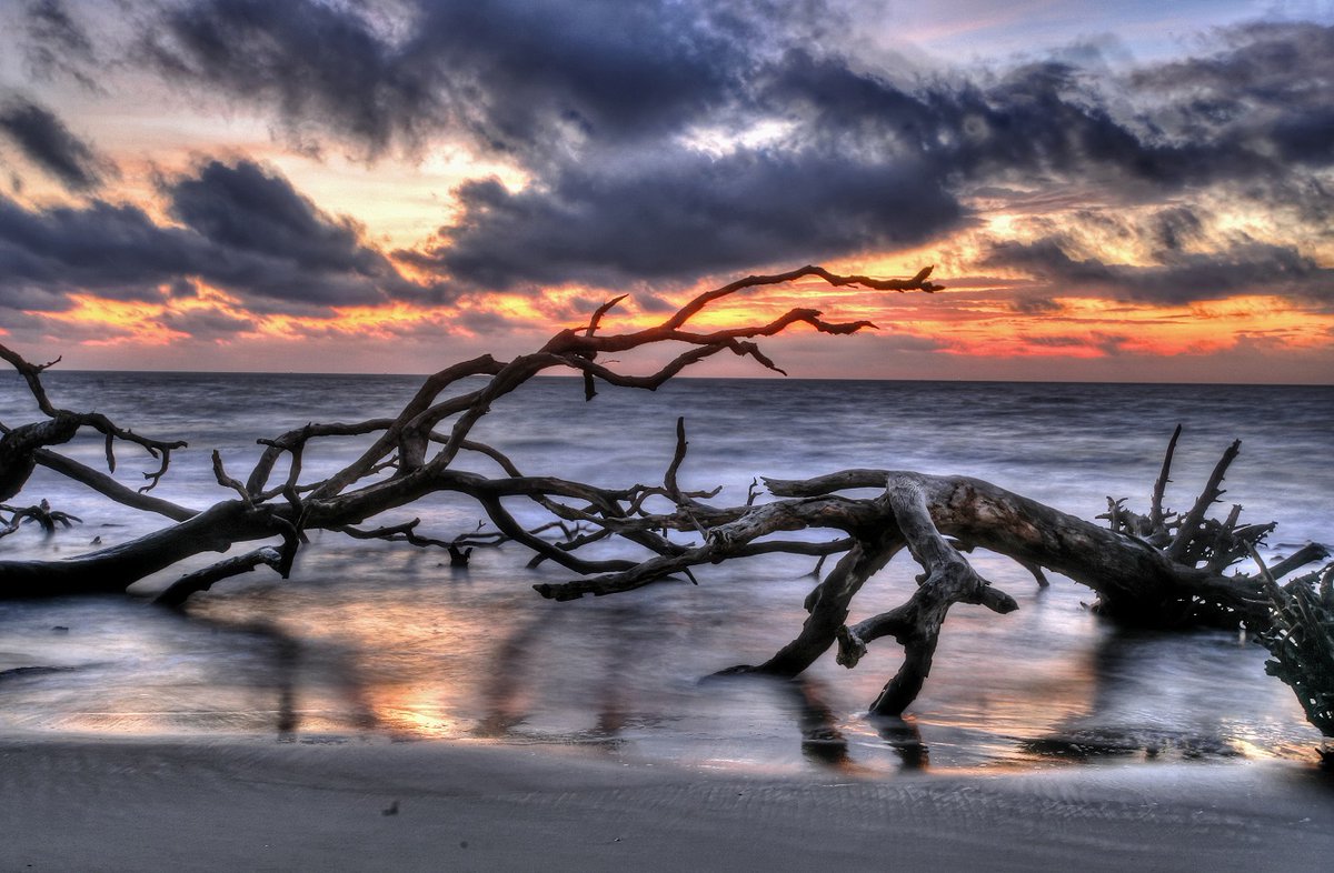@Yaacov97531 #JekyllIsland #CoastalGeorgia
