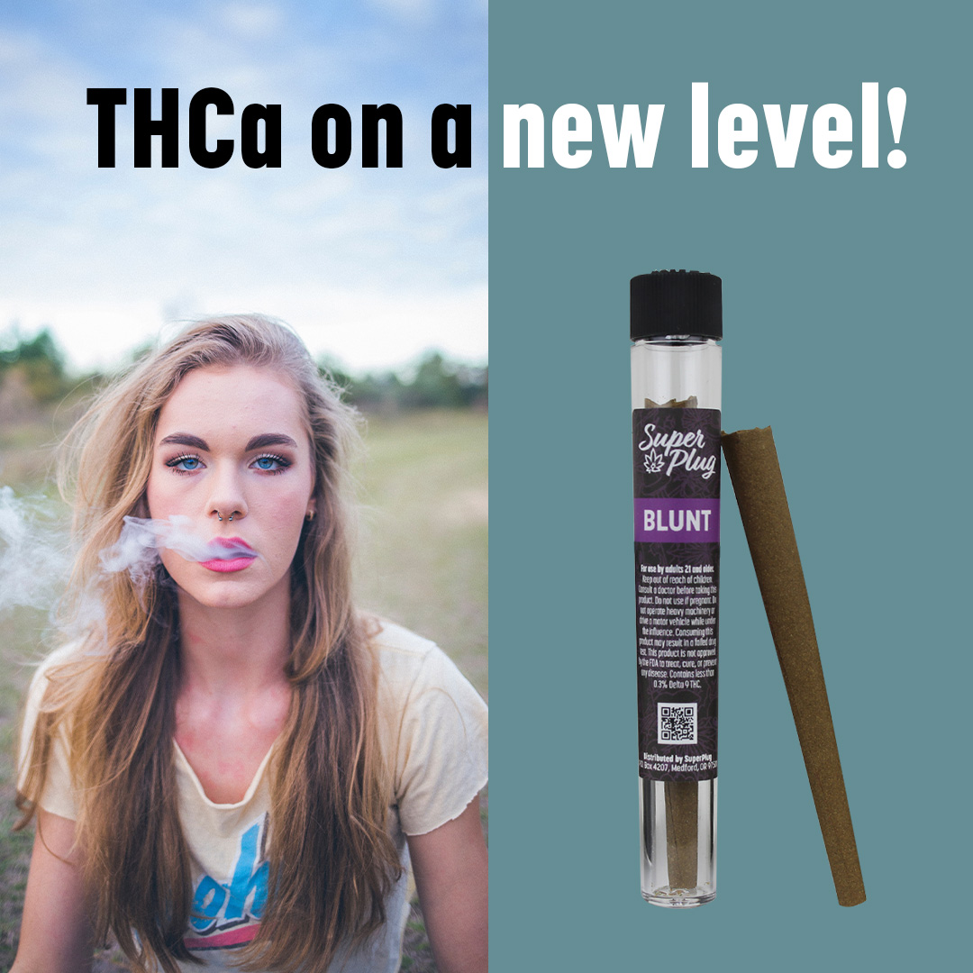 SuperPlugStore's tweet photo. THCa on a new level! 1g THCa blunts contain 1g of premium THCa expertly wrapped in hemp paper. Elevate your THCa experience and take SuperPlug on-the-go. #THCa #Blunt #SuperPlug #THCaFlower #THCaBlunt #hempderived https://t.co/qbQaBZpqQH