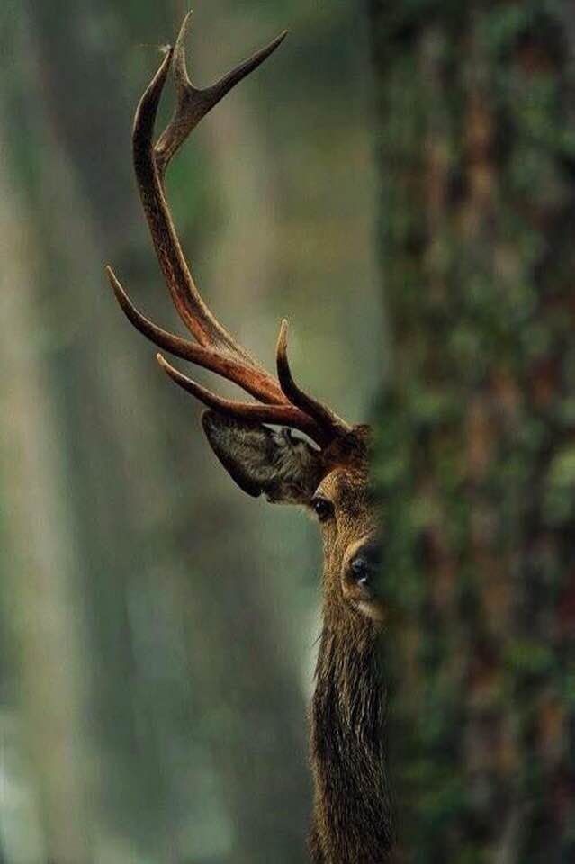 thiaritaaaa_'s tweet photo. mi amiga queriendo jugar a las escondida https://t.co/bmVRb97qlS