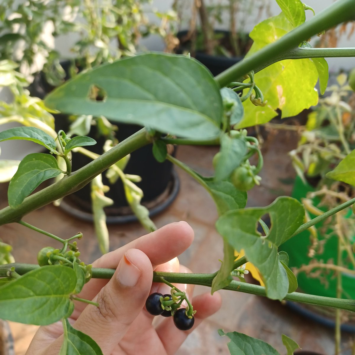 Aparna Karthikeyan tweet media