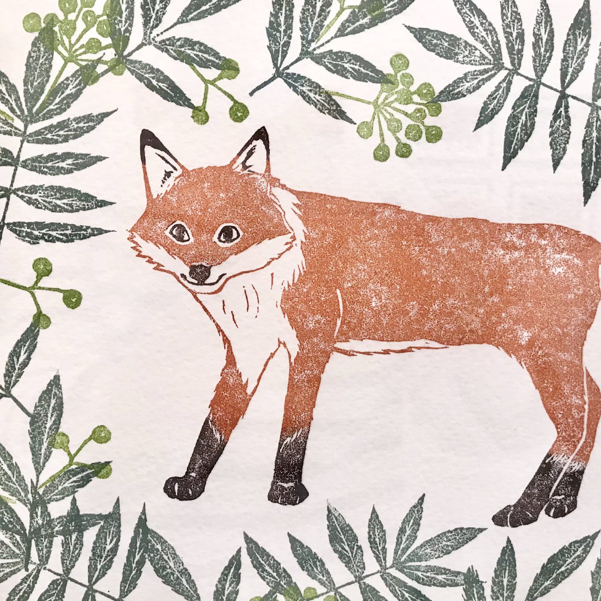 mount_co_jp's tweet photo. 北海道でのお子さんとの暮らしや動物を描いた温かいタッチの版画作品。「キタキツネ」「TOY」各20,000円（税込）378mm×287mm  3ed. ジークレープリント・額装込み　こちらの作品ご購入希望の方は、フォームからお気軽にご連絡ください。遠方の方もぜひ→ https://t.co/3UR6YXwp1i 受付締切3/10まで。 https://t.co/ef8v6JlzXU