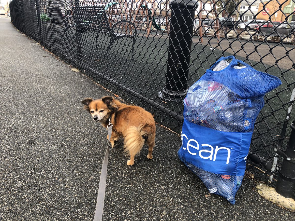 brianhugstrees's tweet photo. The plastic problem has been solved. We need biodegradable packaging. There is no justification to produce plastic. It’s killing us. The glass breaks & the aluminum rusts. We need #reducepackaging I can’t clean this up by myself. #breakfreefromplastic #protectwhatyoulove #4ocean https://t.co/YBcKMsHUmS