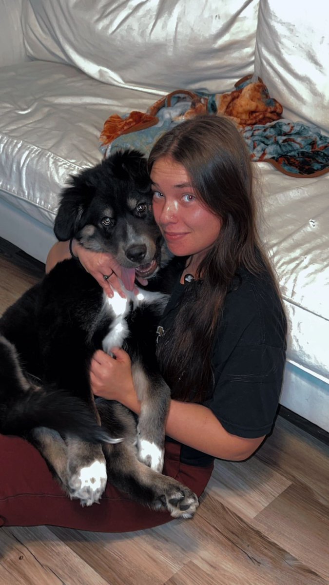 aprillynn_20's tweet image. 7 WEEK DIFFERENCE😭😭 OH HOW MY BABY HAS GROWN😭😭  #YUKI #PUPPYMOM