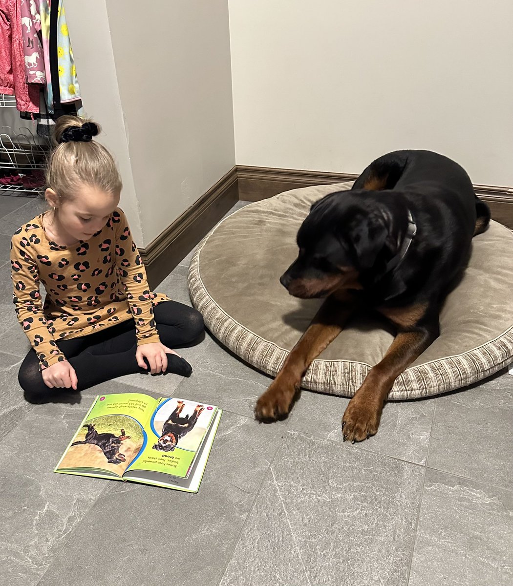 Reading a Rottweiler fact book to her Rottweiler, Rollo. 💙 Home reading for the whole family! <a href="/IndusRvs/">Indus School</a> #rvsed
