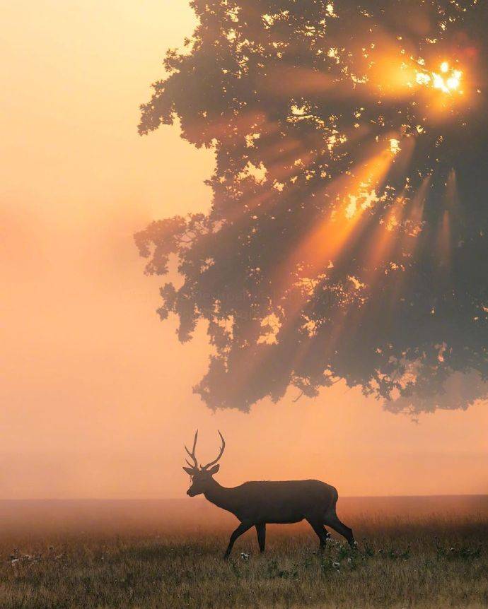 ViVi Tong tweet media