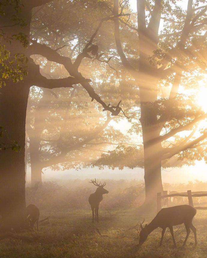 ViVi Tong tweet media