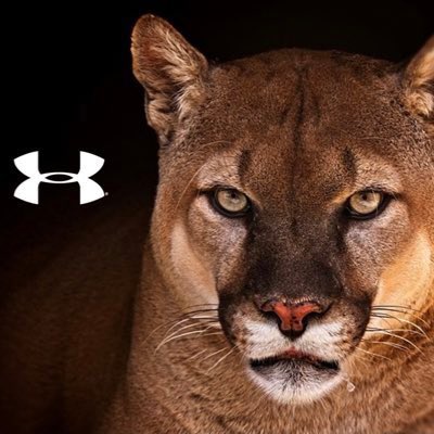 CoachLeonardTX's tweet photo. I appreciate @andyeverett760 having me on his radio show, this evening‼️ I never get tired of bragging on @AthleticsCanyon and reliving the @UTSAFTBL glory days‼️ 

#BirdsUp🤙
#RedBurnsBrighter🔴🔥 https://t.co/hfSmkPV1LT
