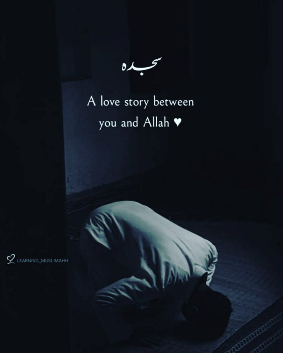 AmeerPa54551905's tweet photo. #AssalamualaikumEveryone 
#Good_Morning 

My beautiful n lovely friends 
⚘⚘💗💕💞❣🌹🌹 https://t.co/hOxnKkGqvJ